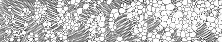 Foam coarsening Foam
