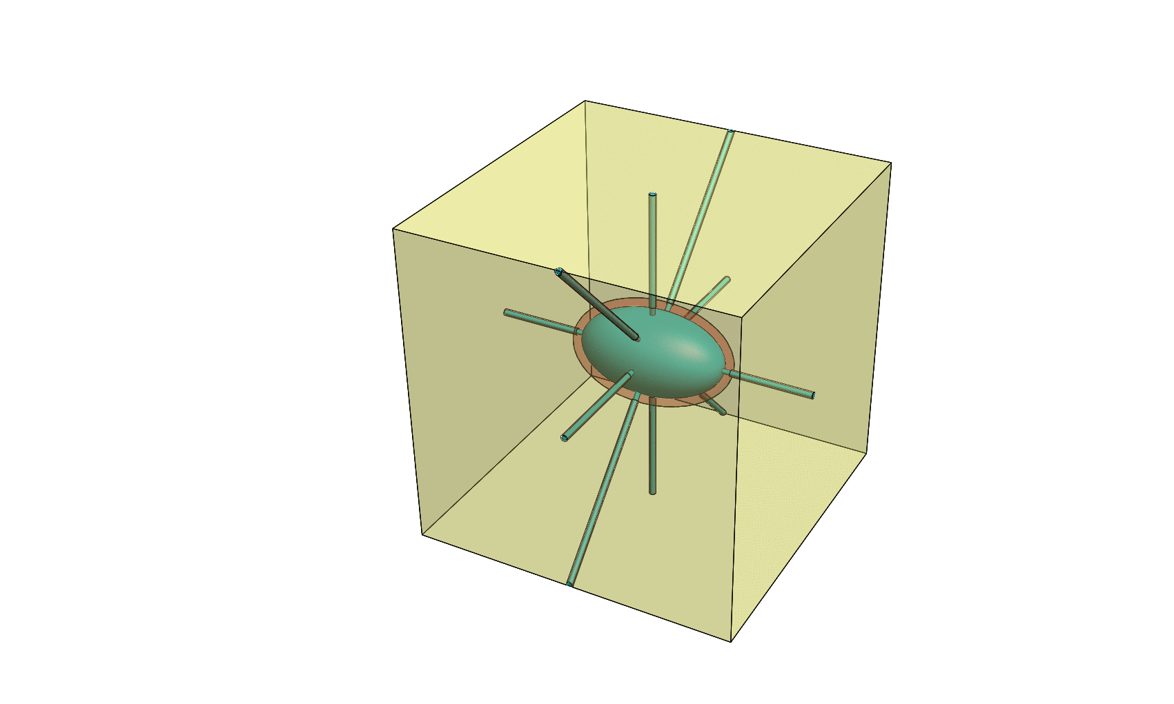 images de l'quipe